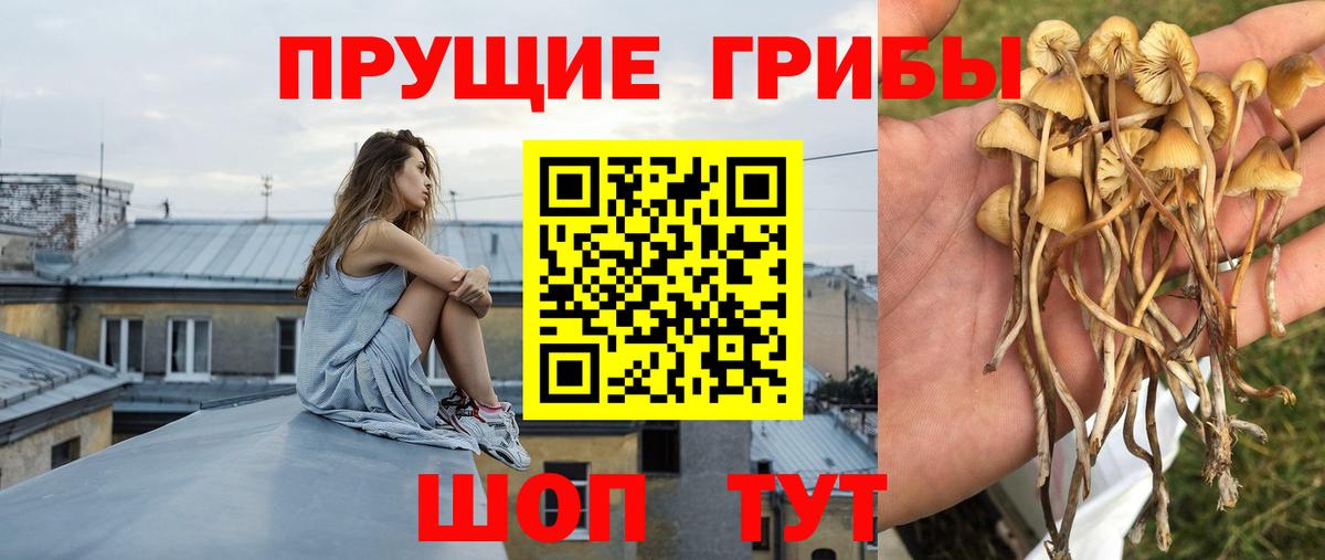 Дедовск  Галлюциногенные грибы MAGIC MUSHROOMS  Псилоцибиновые грибы мицелий  Вход с VPN 